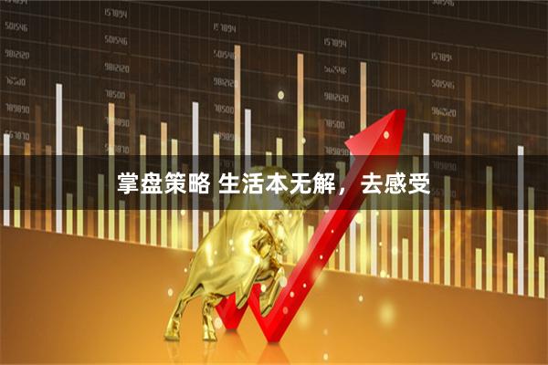 掌盘策略 生活本无解，去感受