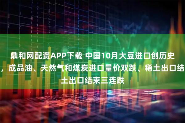 鼎和网配资APP下载 中国10月大豆进口创历史同期新高，成品油、天然气和煤炭进口量价双跌、稀土出口结束三连跌