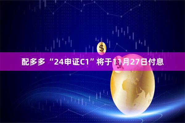 配多多 “24申证C1”将于11月27日付息